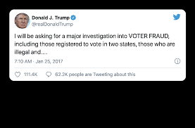 A Large Group Investigating Election Fraud