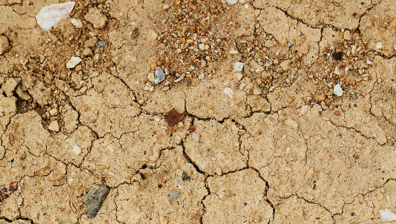 Parched Earth