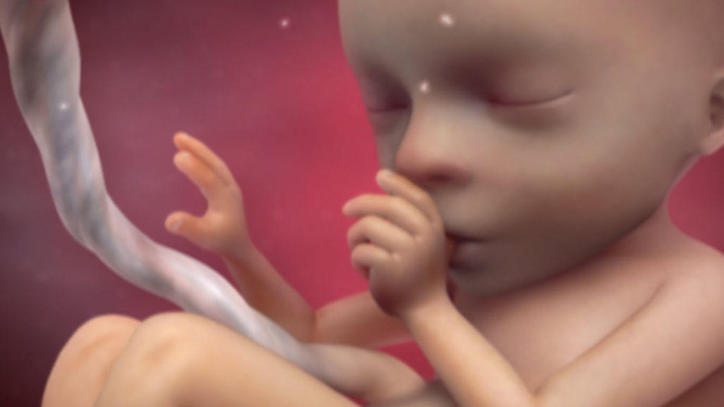 55,800 Babies Killed Each Year After 15 Weeks. Is That Enough?