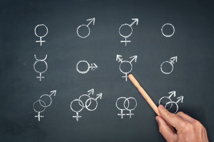Multiple Genders Are “Nonsense” and “Unscientific”