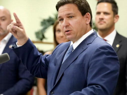 “Deport Illegal Looters” Says DeSantis!