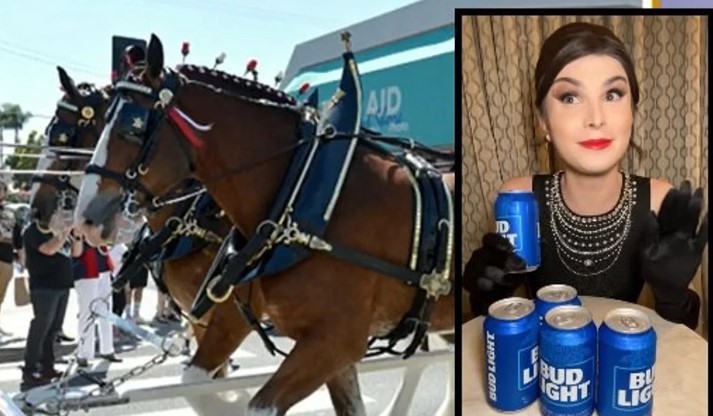 Budweiser Clydesdale Event Cancelled Due To Promotions Using Trans Activist
